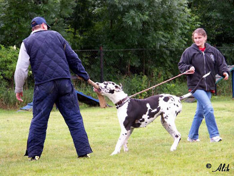 Obranářský víkend v Josefově alena-capkova-bentley-catley-ranch