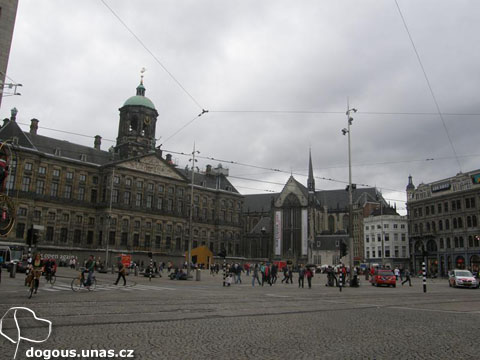 Dizzča na dovolené v Holandsku 2011 dizzy-amsterdam-holandsko2011