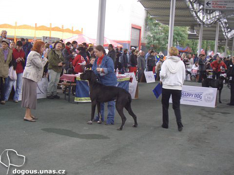Dizzy na Eurodogshow Budapest 2008 dizzy-eurodogshow2008-rozhodci