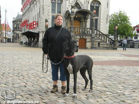 Dizzča na dovolené v Holandsku 2011 dizzy-gouda-holandsko2011
