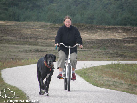 Dizzča na dovolené v Holandsku 2011 dizzy-kolo-holandsko2011