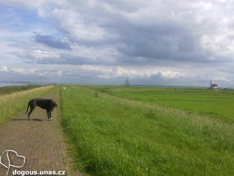 Dizzča na dovolené v Holandsku 2011 dizzy-marken2-holandsko2011
