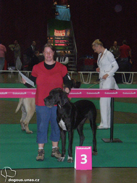 Dizzča na dovolené v Holandsku 2011 dizzy-nvp-holandsko2011