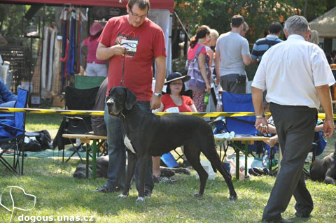Dizzča na MVP Bratislava 2011 dizzy-postoj2-bratislava0811