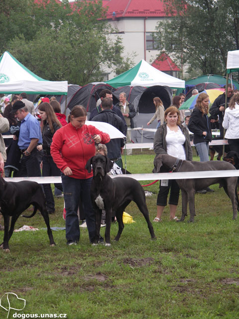 MVP Krakow dizzy-postoj2-krakow0609