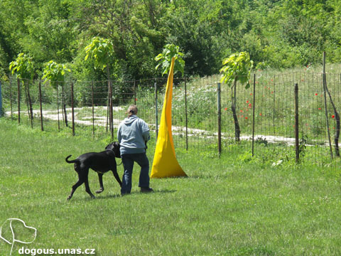 Qeira u nás na víkend dizzy-reviry-q0609