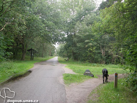 Dizzča na dovolené v Holandsku 2011 dizzy-rezervace-holandsko2011