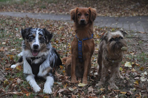 Jerry, Barney, Conny