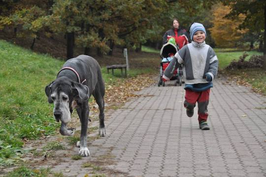Dizzinka slaví 9 let! mates-dizzy-9letvenceni3
