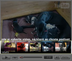 Kliknutím vyberete video