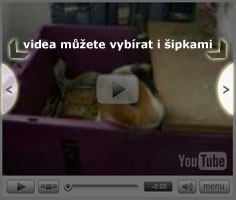 Výběr lze provést i šipkami
